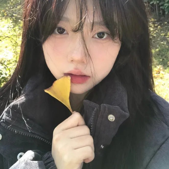 情摄大师